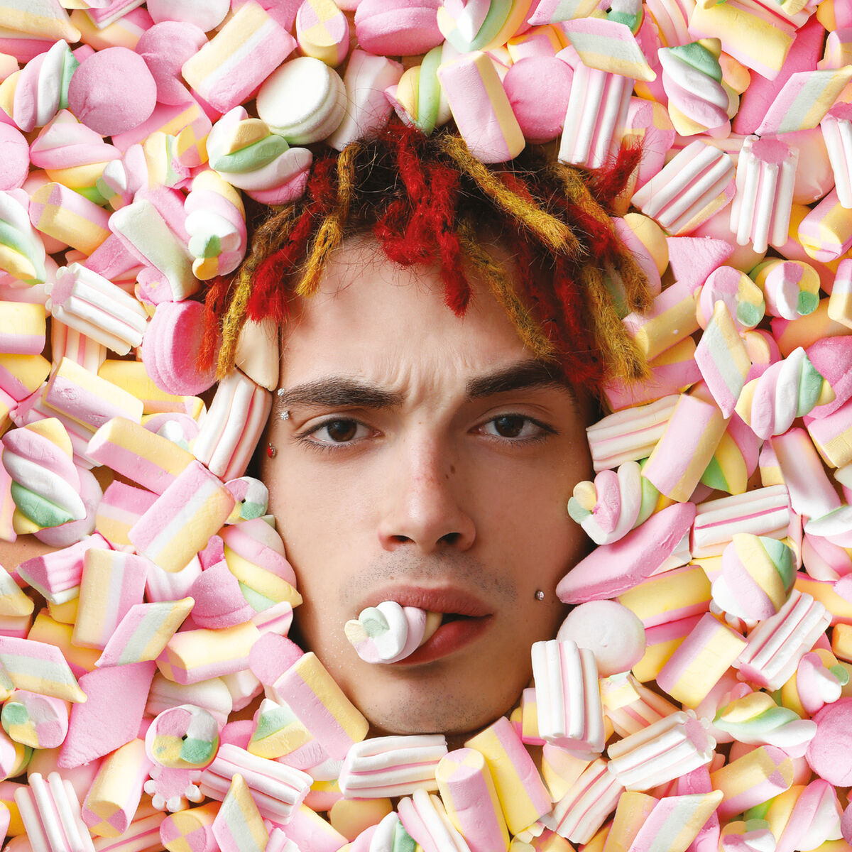 Album cover of Piccolo Dref