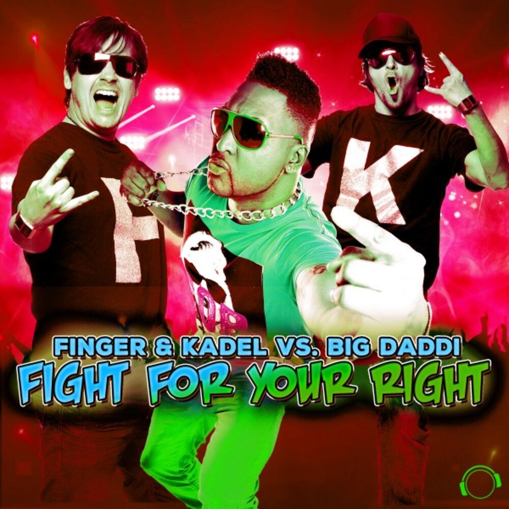 Picture of Fight for Your Right (The Remixes)