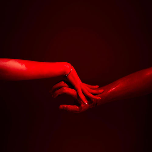 Tra Noi