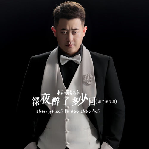 深夜醉了多少回 (车贩子进行曲)