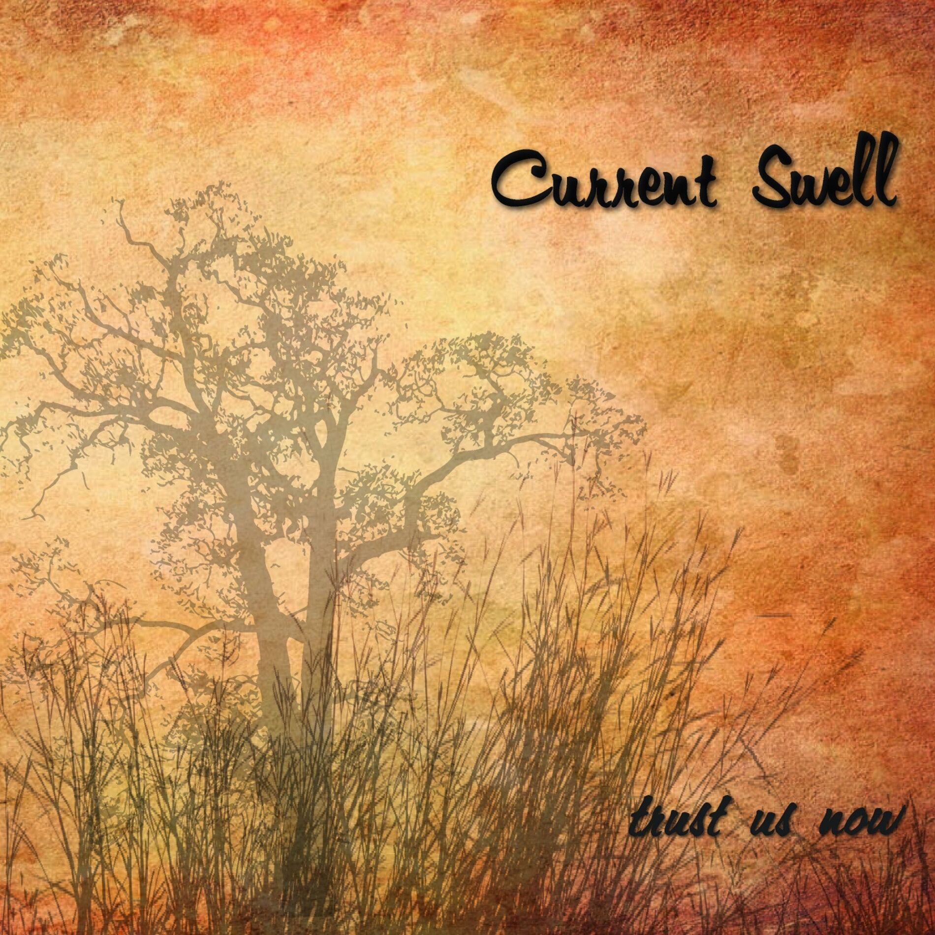 Album cover of Trust Us Now