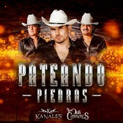 Cover of Pateando Piedras