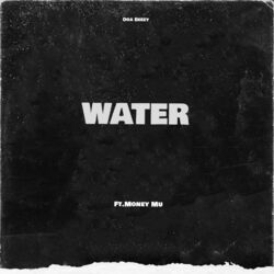 Cover of Water
