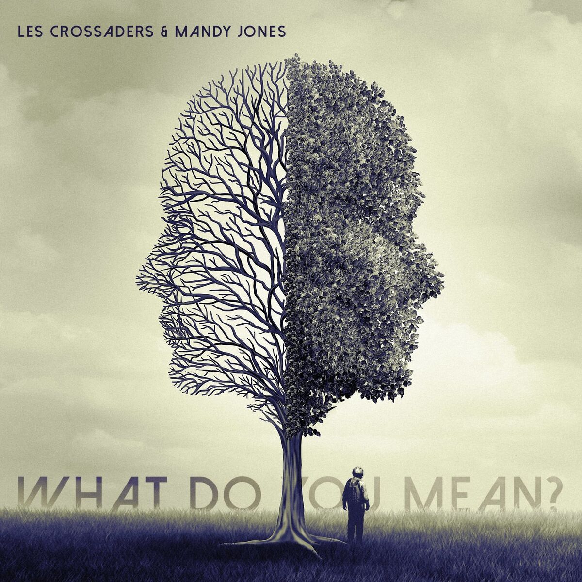 Album cover of What Do You Mean?