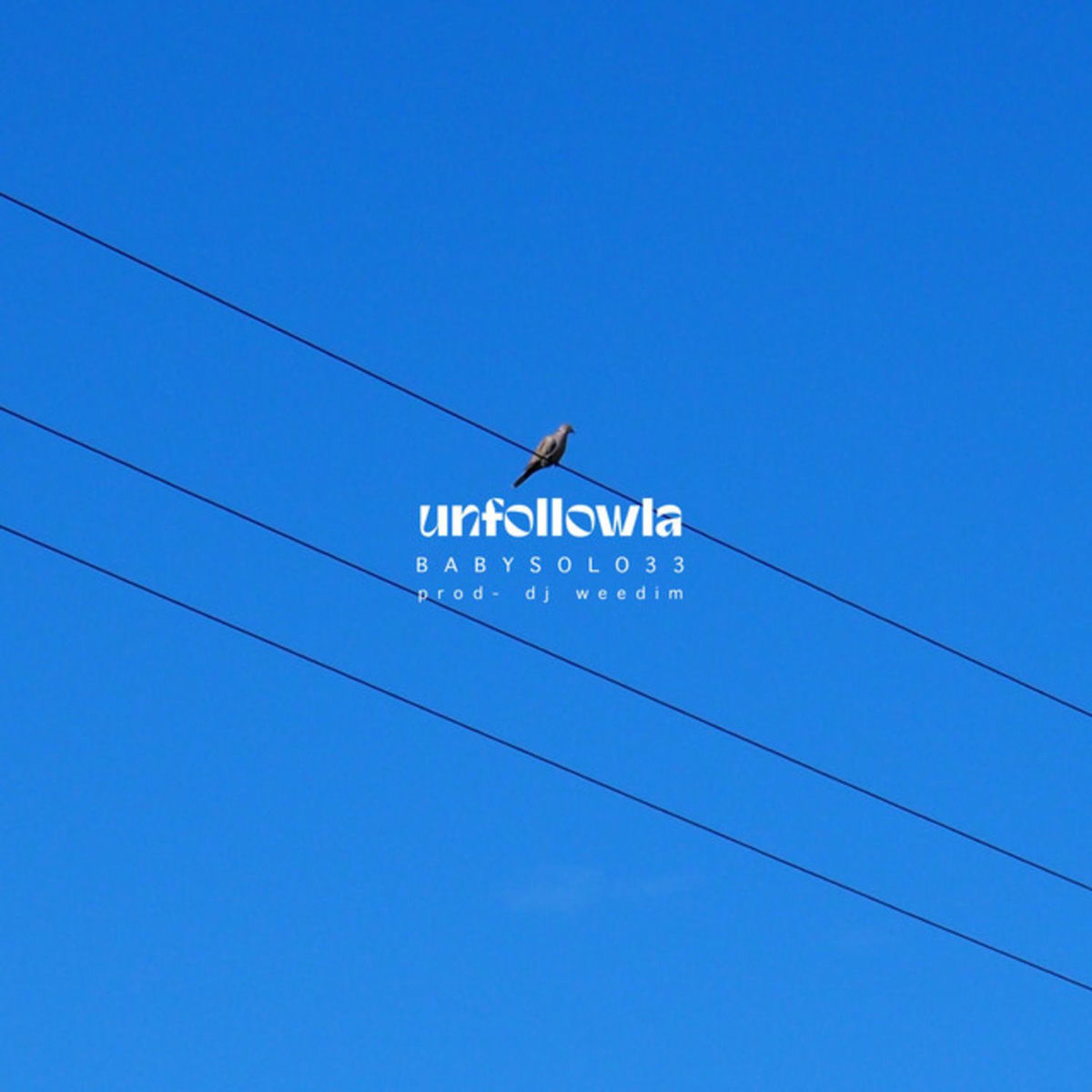 Album cover of Unfollowla
