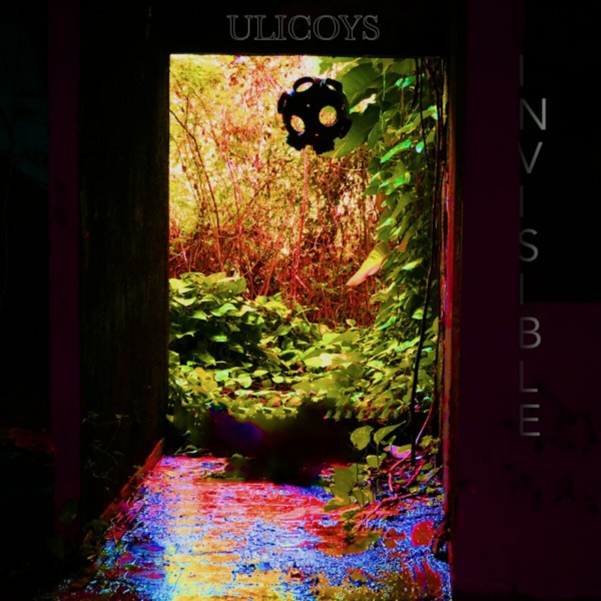Album cover of Invisible