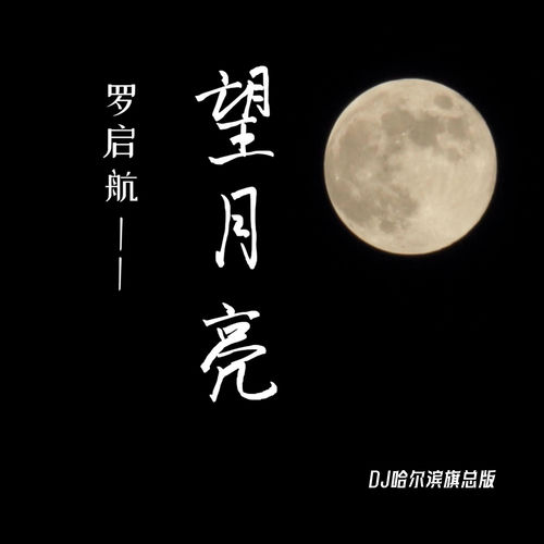 望月亮 (Dj哈尔滨旗总版)