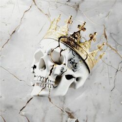 Cover of Beautifully Broken