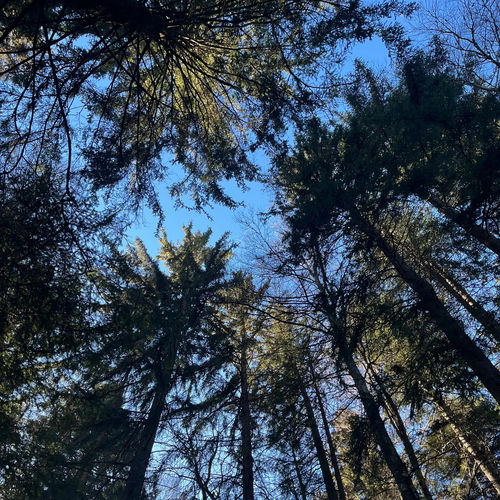 After Thoughts – Live from Nowhere Known – EP