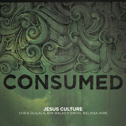 Cover of Consumed (Live)