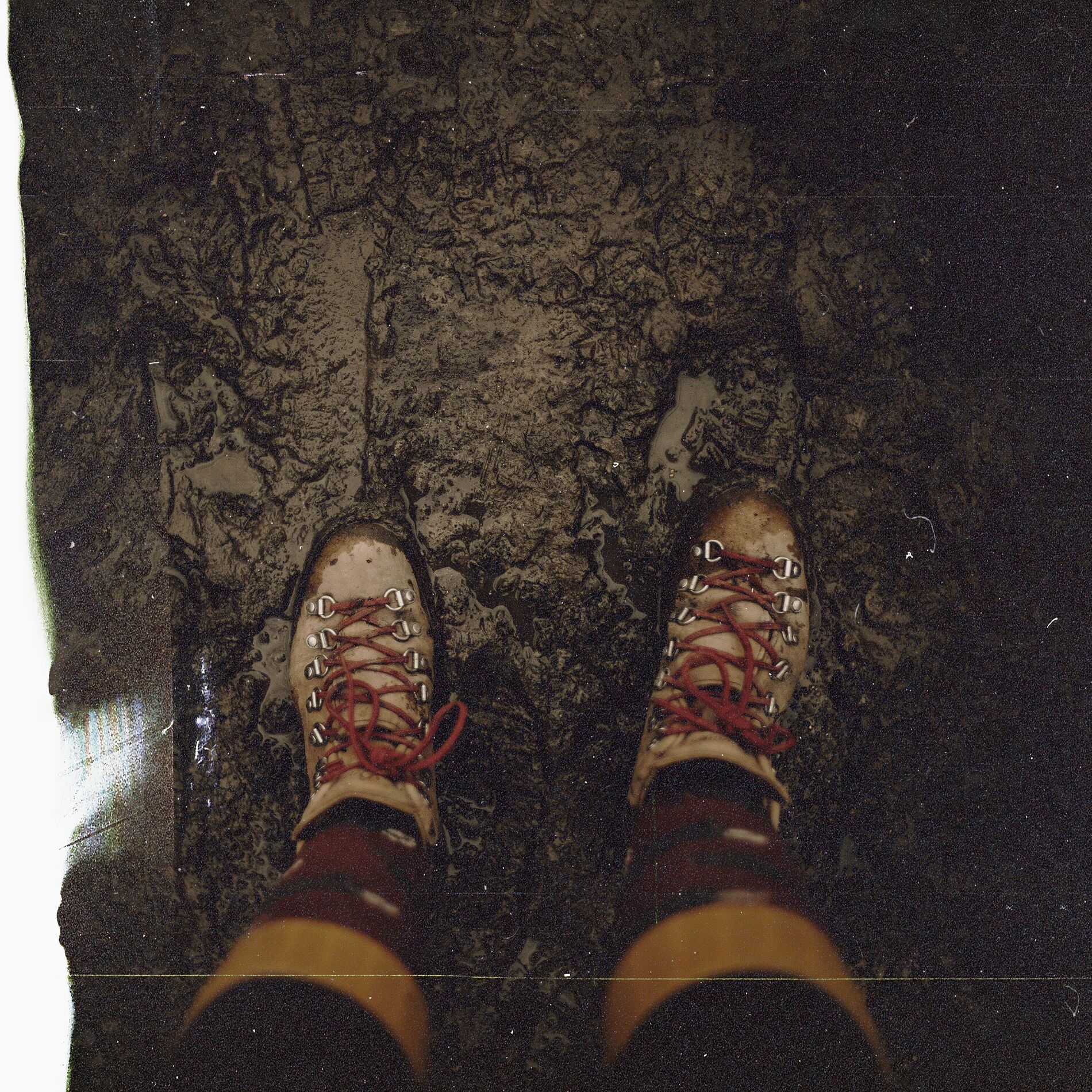 Album cover of Muddy