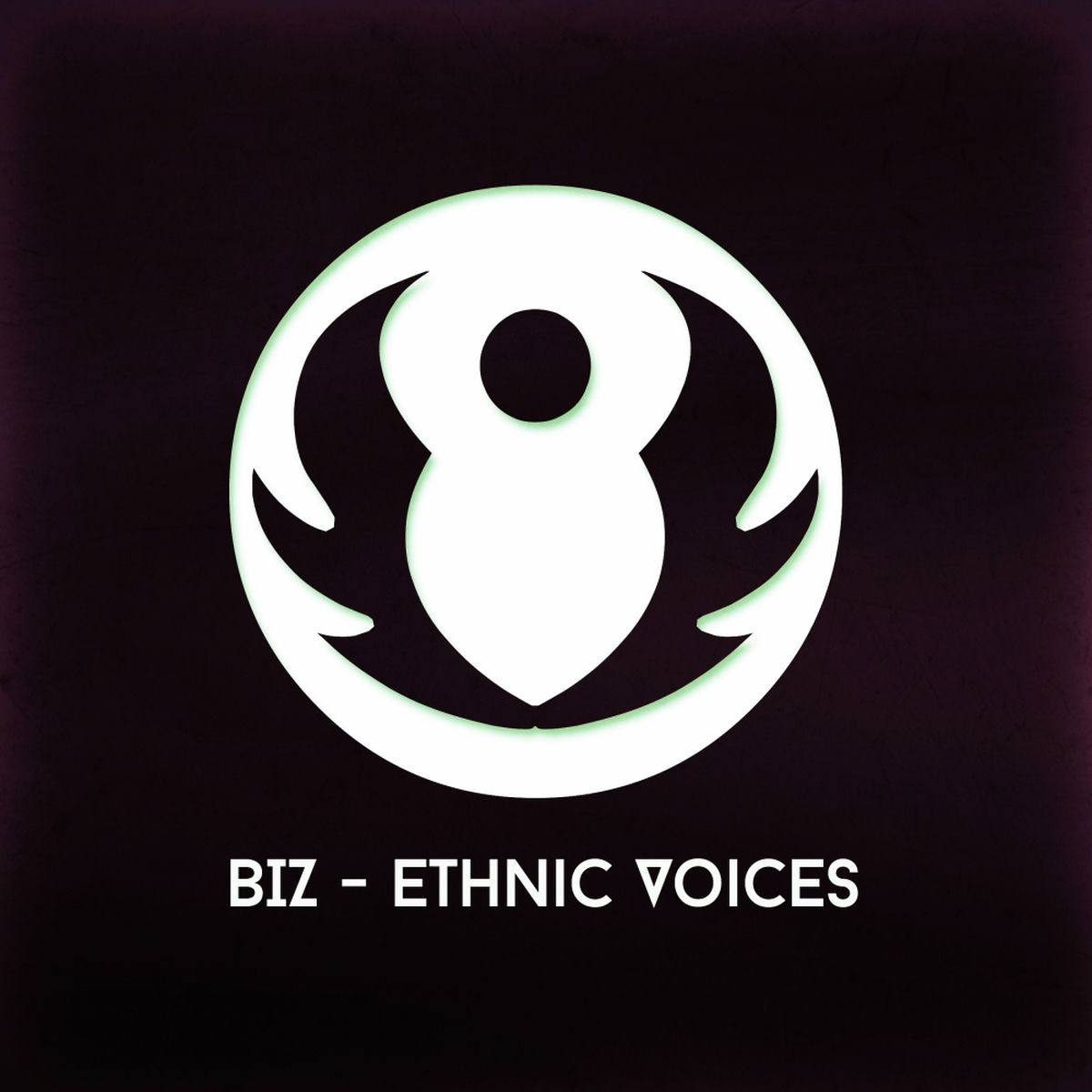 Album cover of Ethnic Voices