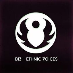 Cover of Ethnic Voices