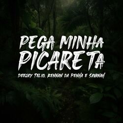 Cover of Pega Minha Picareta