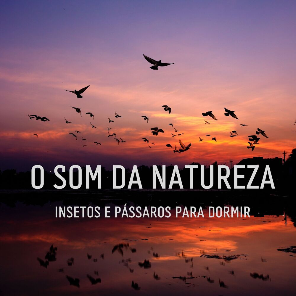 Picture of O Som Da Natureza: Insetos E Pássaros Para Dormir