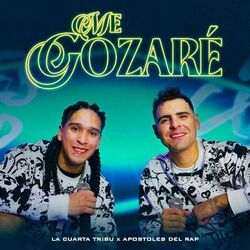 Cover of Me gozaré