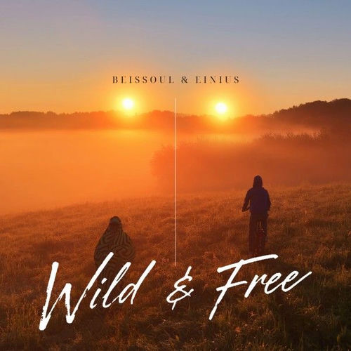 Wild & Free artwork