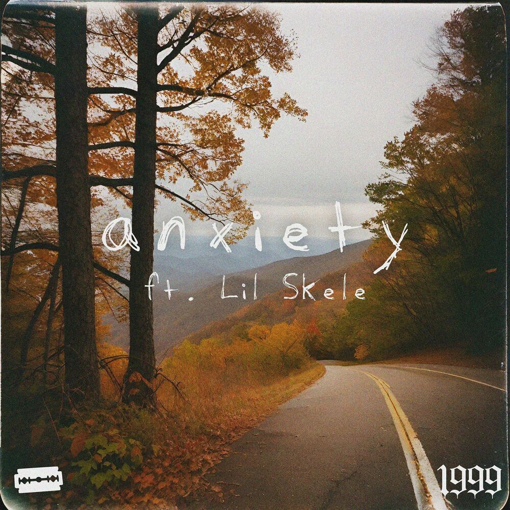 Picture of anxiety (feat. Lil Skele)