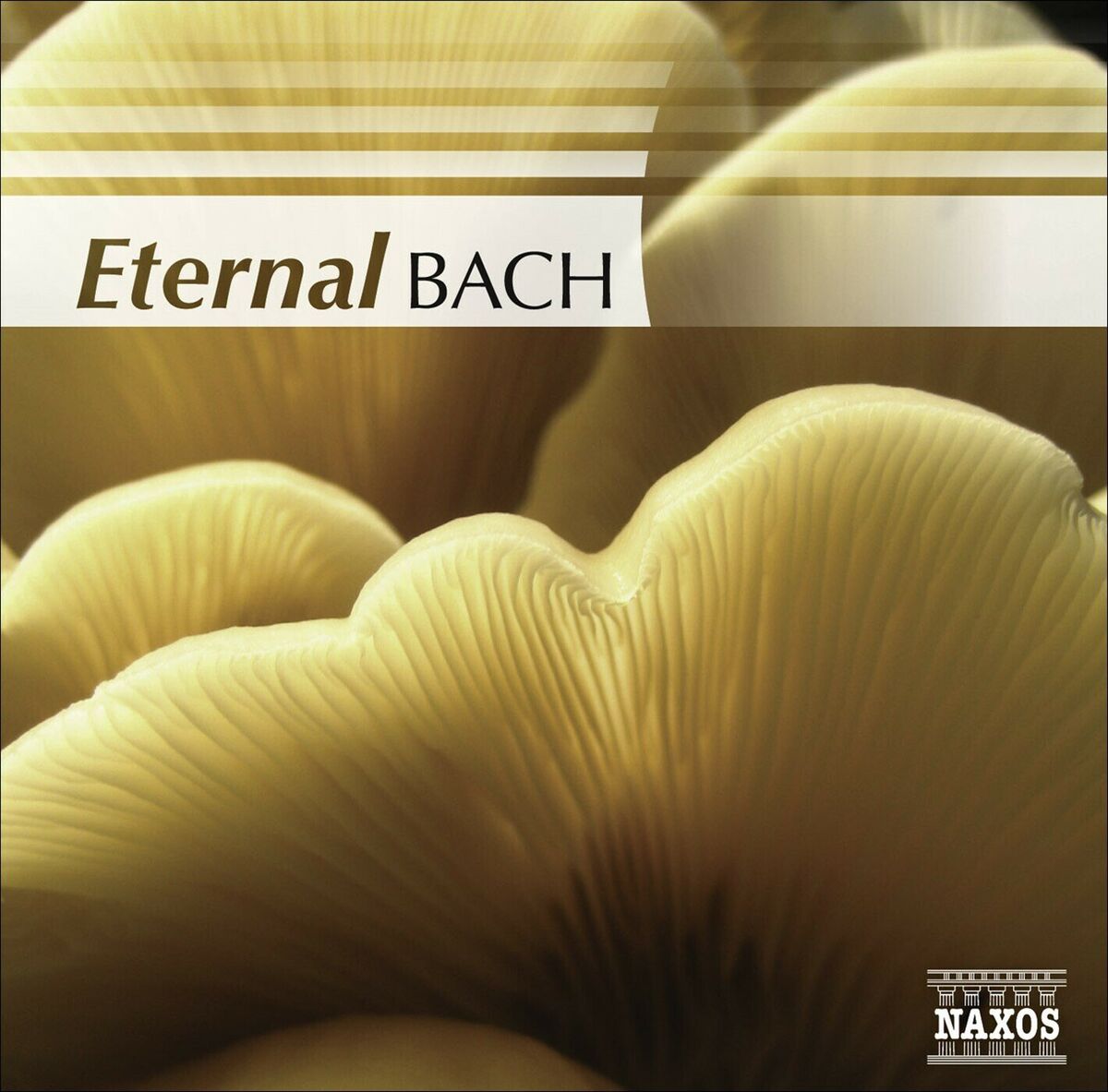 Album cover of 2-Part Inventions, BWV 772-786: Invention No. 14 in B-Flat Major, BWV 785