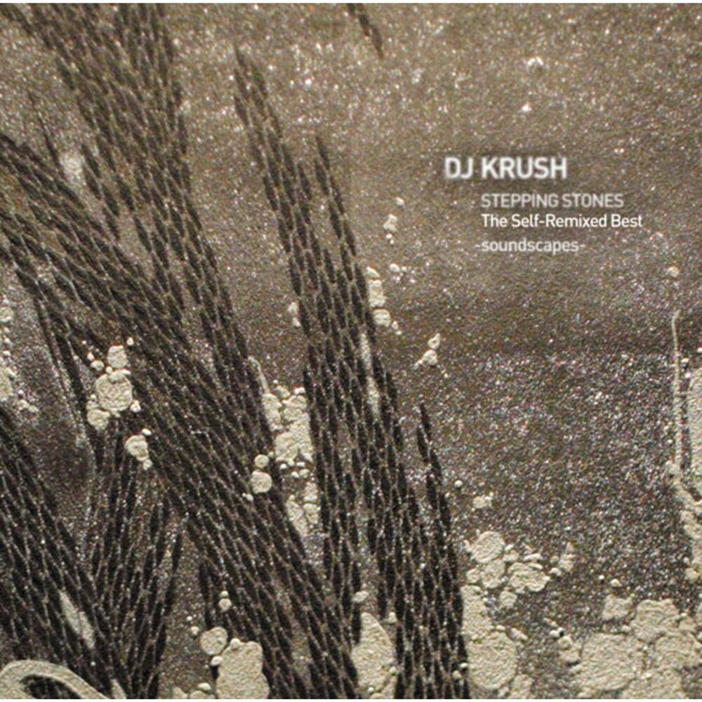 Picture of STEPPING STONES The Self-Remixed Best -soundscapes-