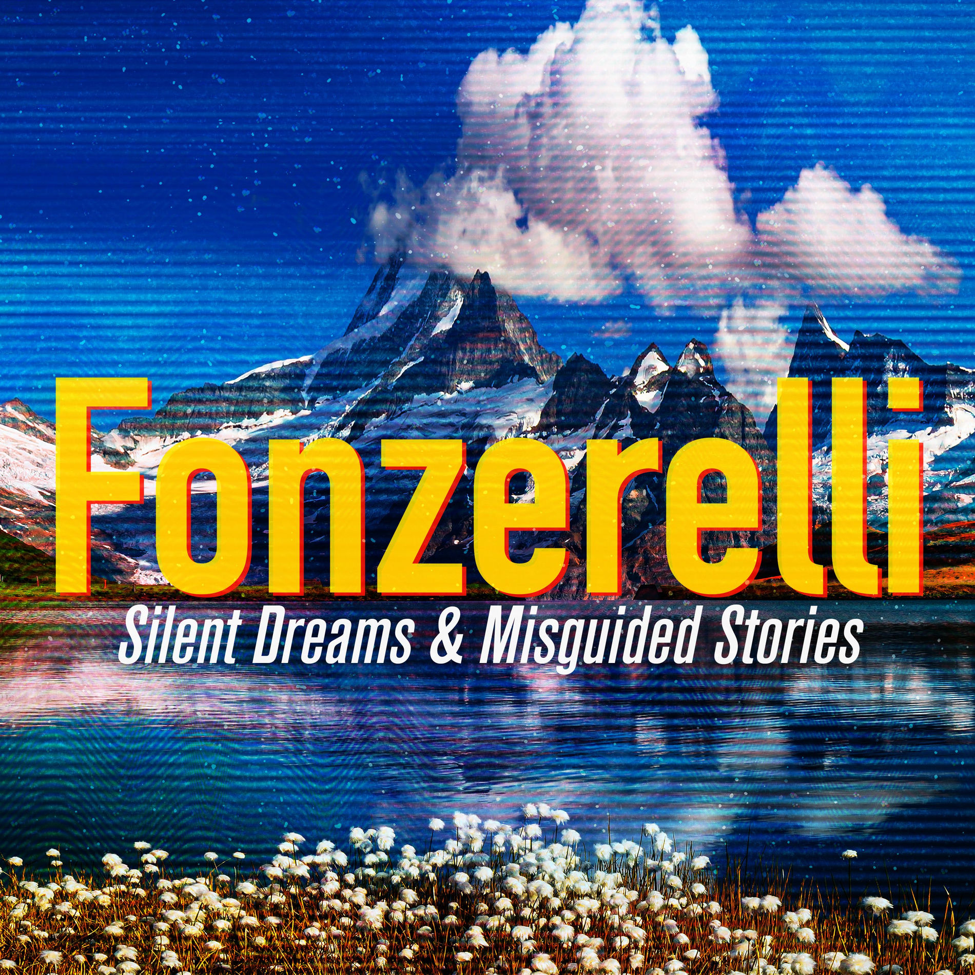 Album cover of Silent Dreams & Misguided Stories