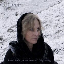Cover of Dindi
