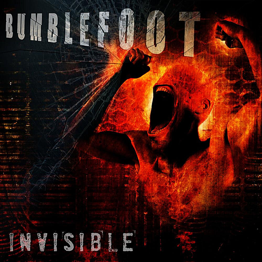Picture of Invisible