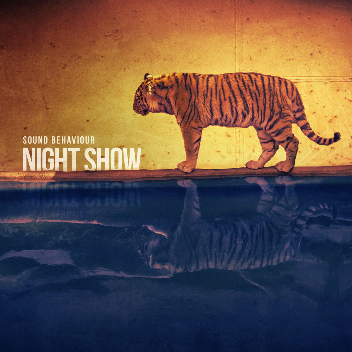 Album cover of Night Show