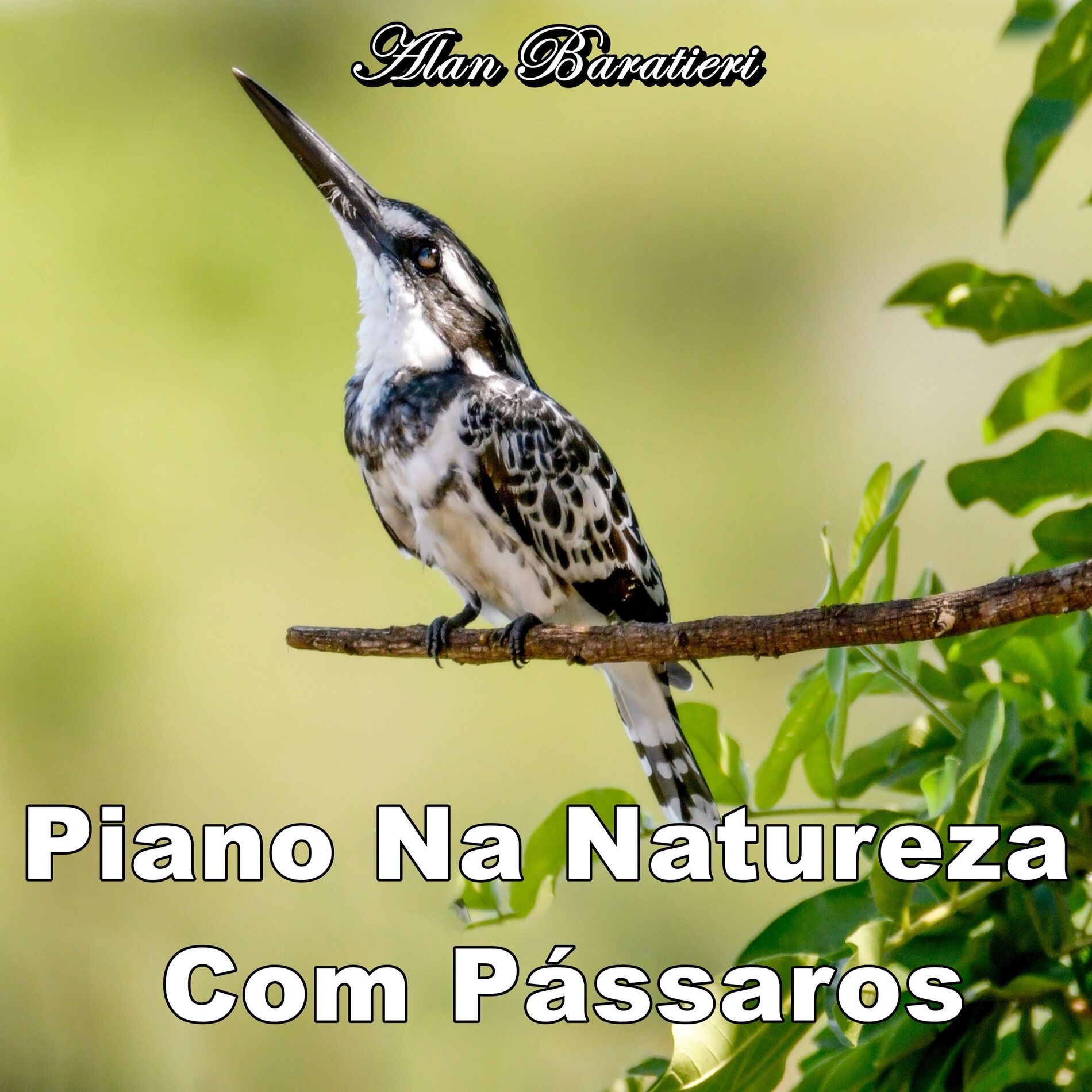 Album cover of Piano na Natureza Com Pássaros