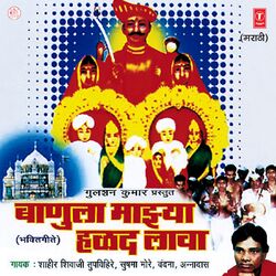 Cover of Banula Majhya Halad Lawa