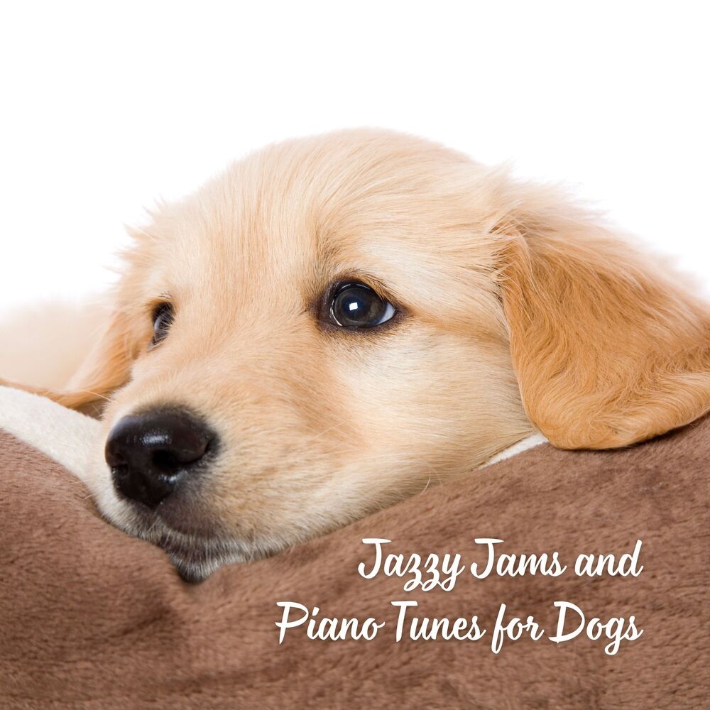 Picture of Jazzy Jams and Piano Tunes for Dogs