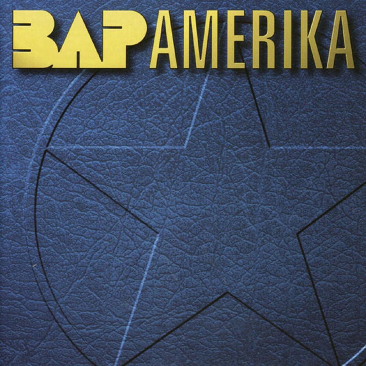 Album cover of Amerika