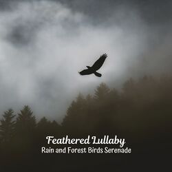 Cover of Feathered Lullaby: Rain and Forest Birds Serenade