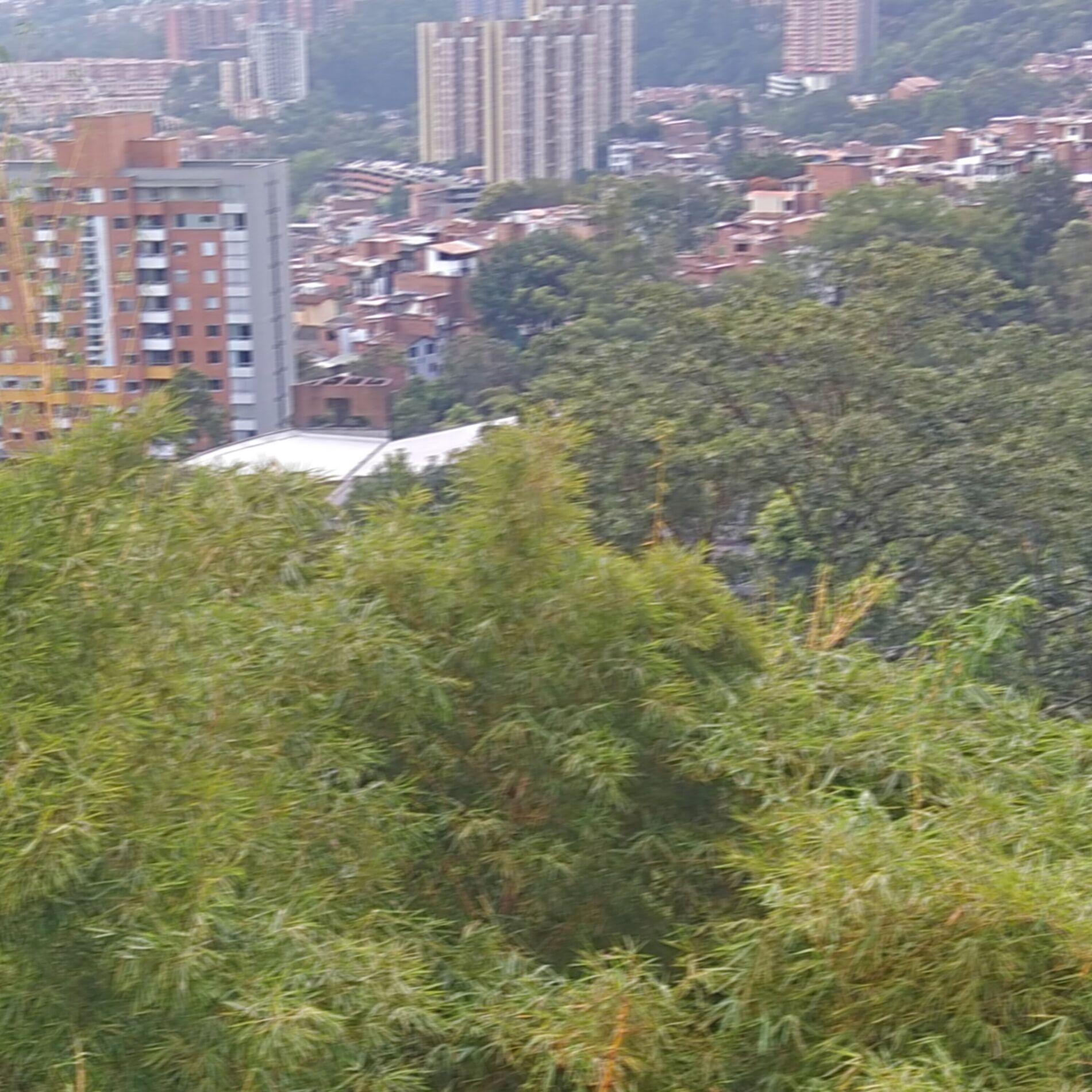 Album cover of Lejos de mi