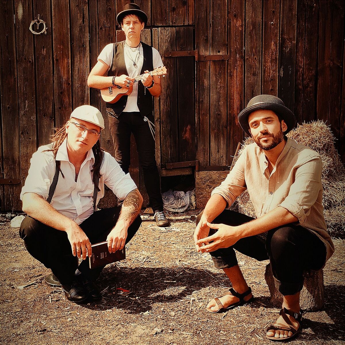 Album cover of Ster