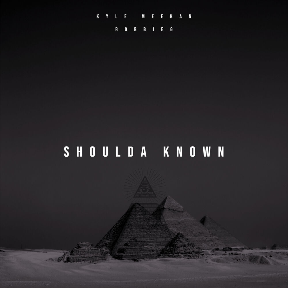 Picture of Shoulda Known