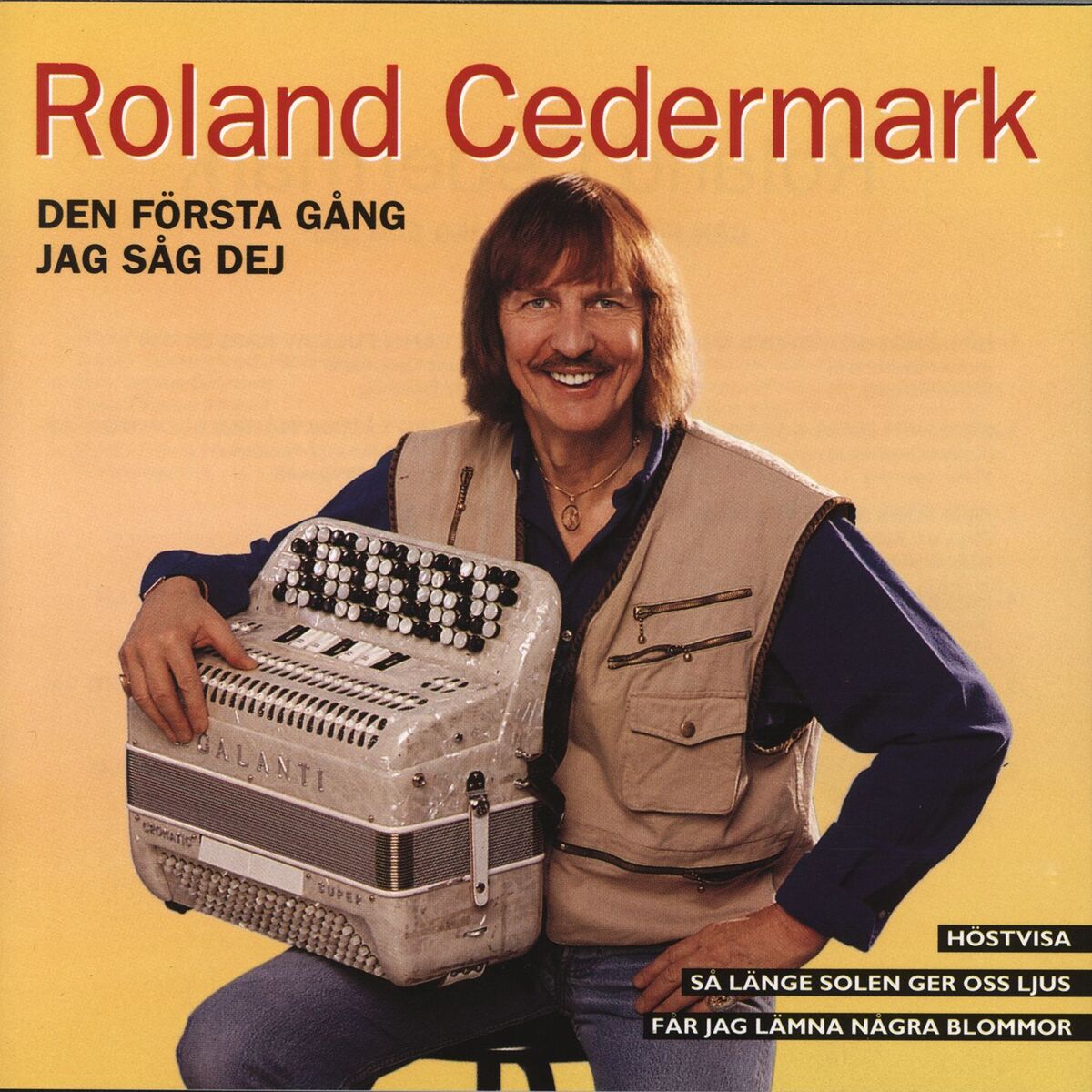 Album cover of Den första gång jag såg dej