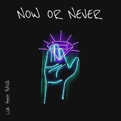 Cover of Now Or Never (Toby Lennon & Alex G Remix)
