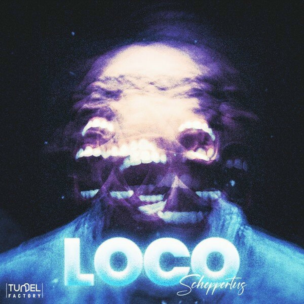 Album cover of Loco