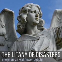 Cover of The Litany of Disasters