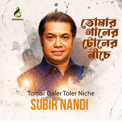 Cover of Tomar Galer Toler Niche