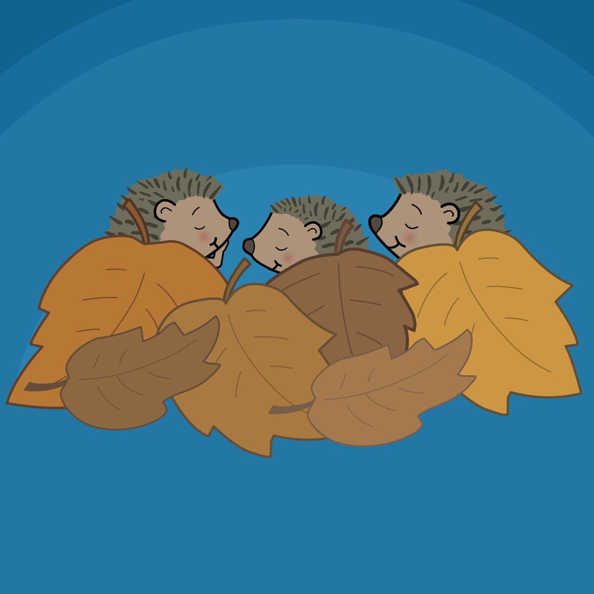 Album cover of Kleine Igel schlafen gern