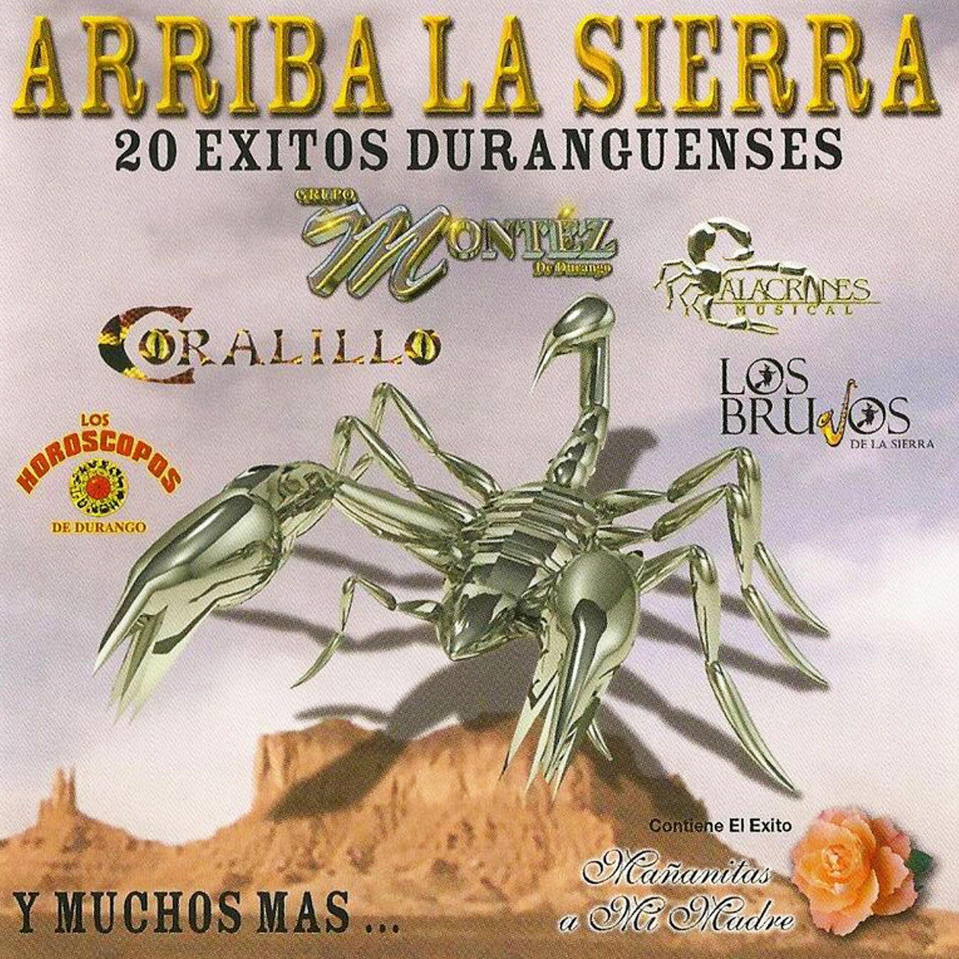 Album cover of Arriba La Sierra 20 Exitos Duranguenses