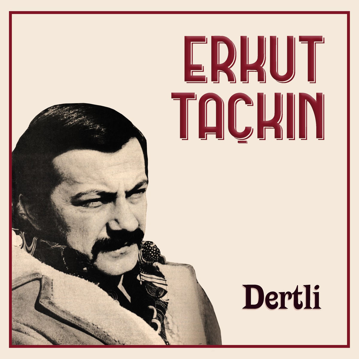Album cover of Dertli
