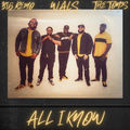 All I Know (feat. Big Remo & The HamilTones)