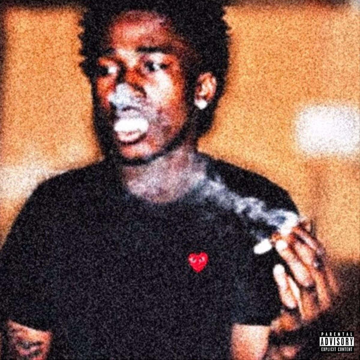 Album cover of Loyal