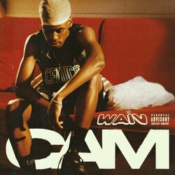 Cover of CAM
