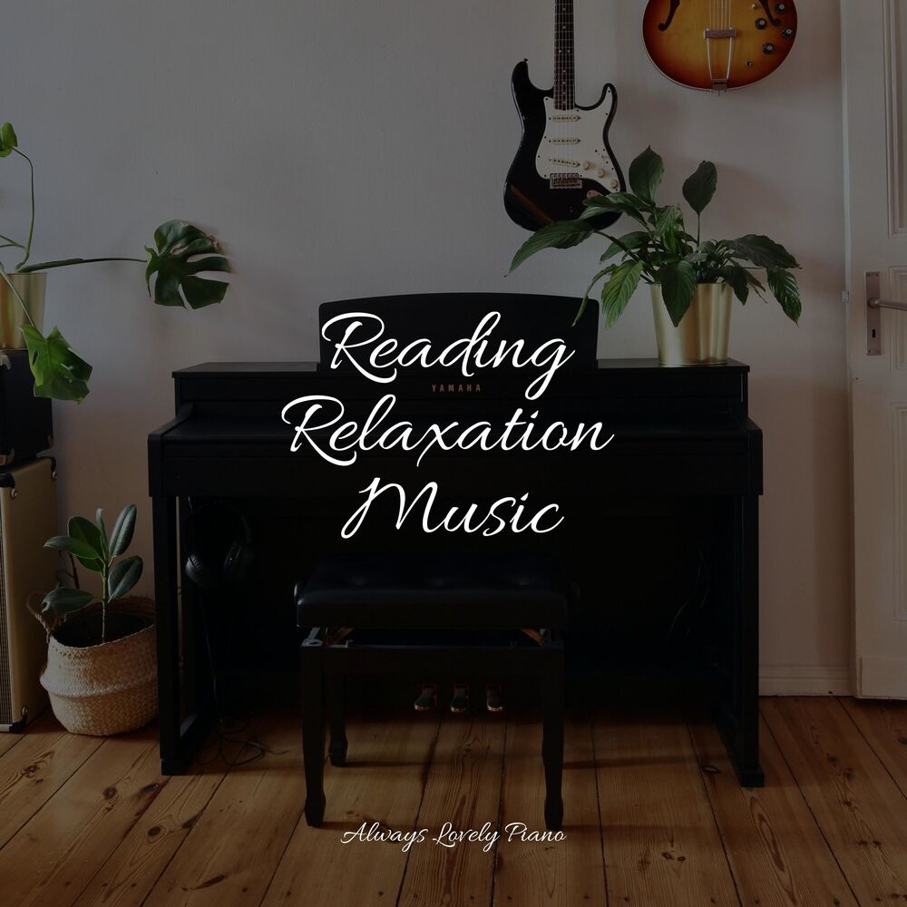 Picture of Piano Compilation - 50 Tracks to Help You Study