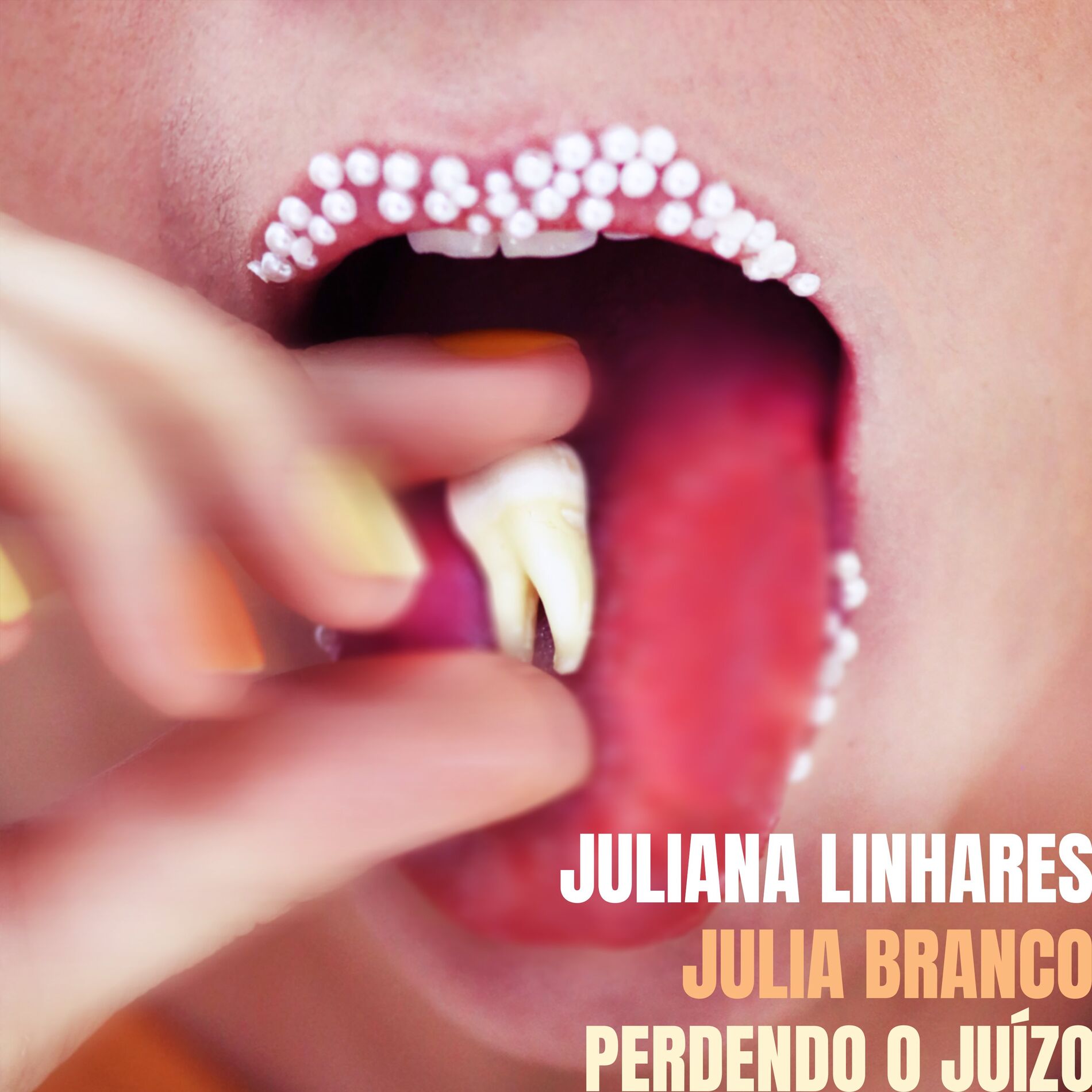 Album cover of Perdendo o Juízo