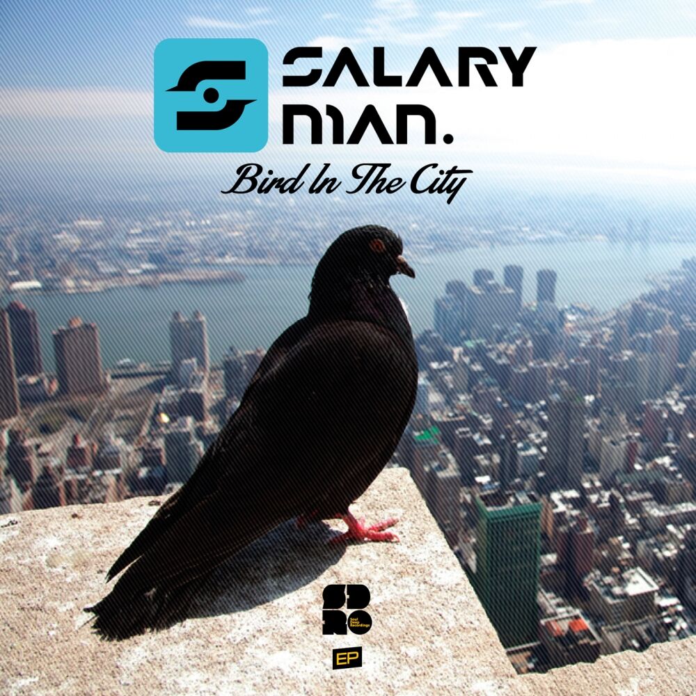 Picture of Bird In The City